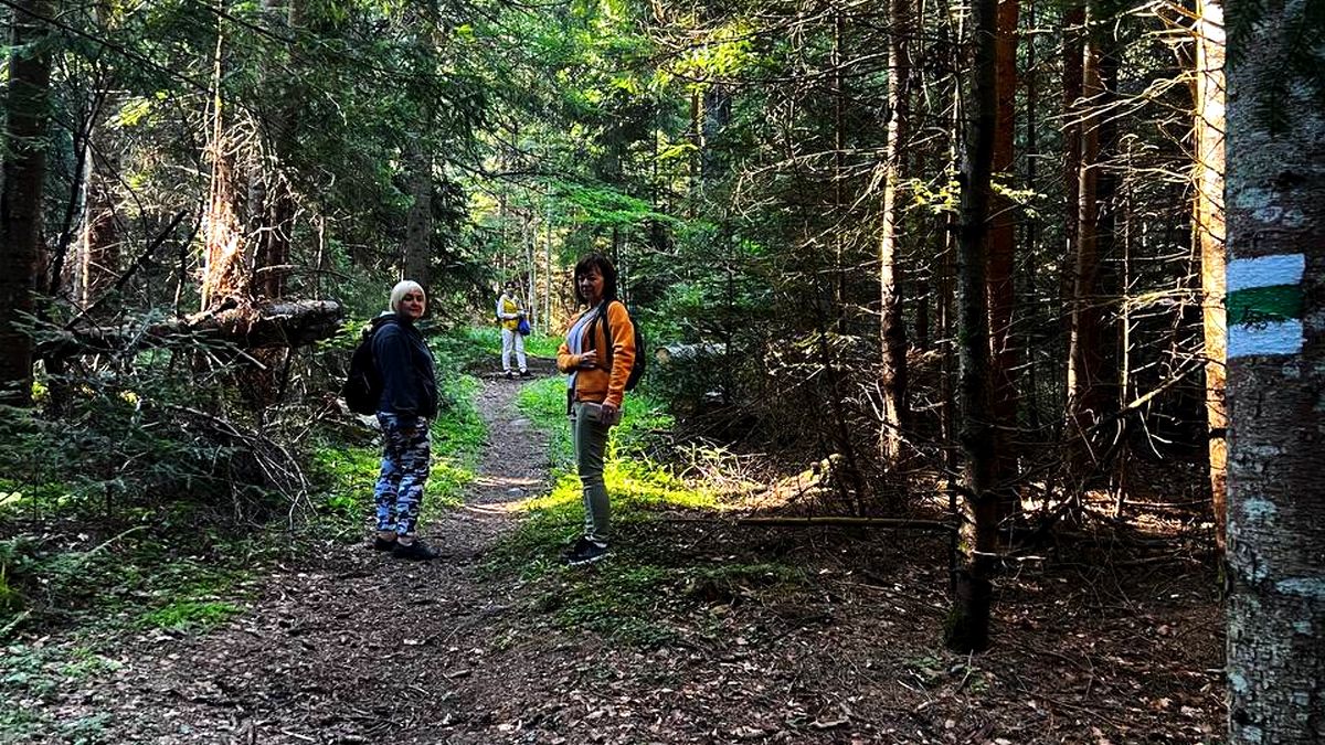Полонина Борсучина - мальовнича локація неподалік Ворохти 1