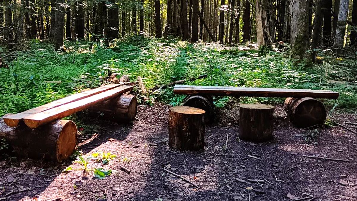 Полонина Борсучина - мальовнича локація неподалік Ворохти 2