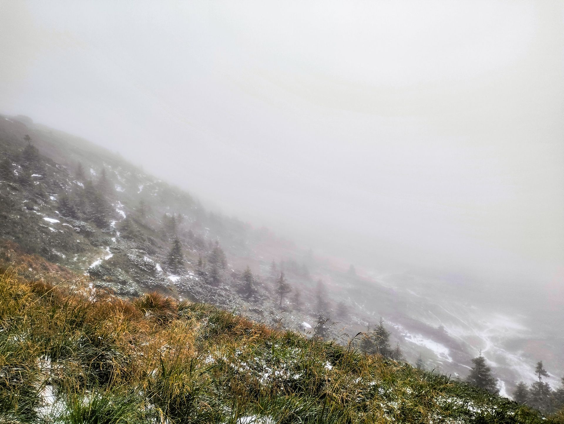 "Літній сюрприз": Карпати засипало градом 1
