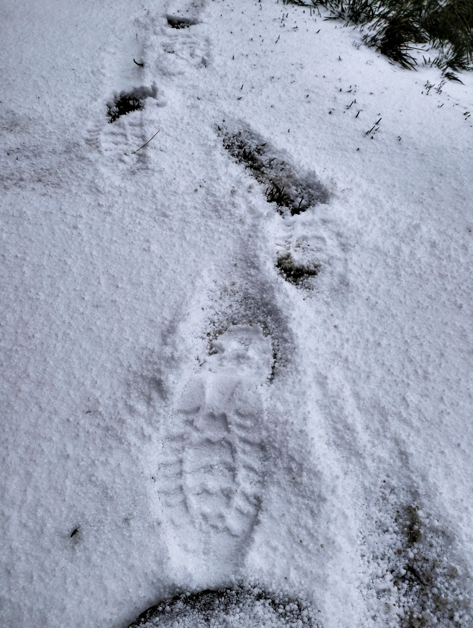 "Літній сюрприз": Карпати засипало градом 3