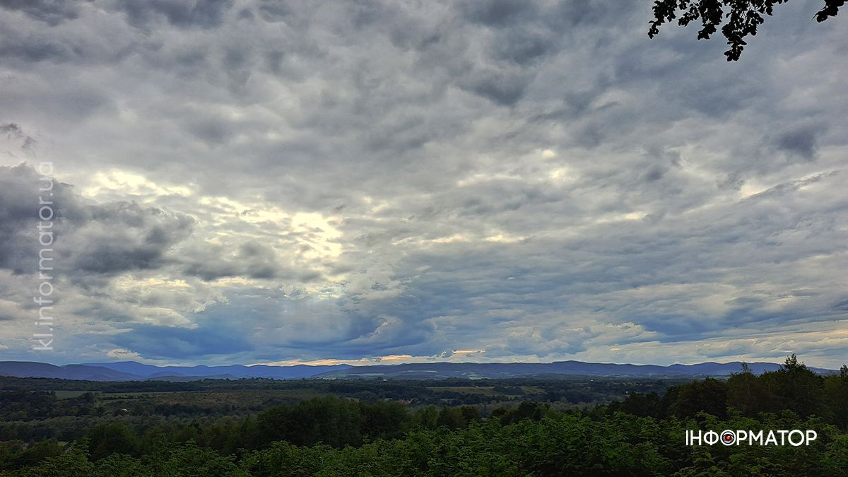Тихе полювання на Коломийщині: фоторепортаж дарів лісу 4