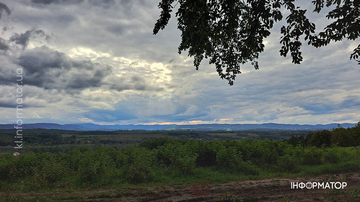 Тихе полювання на Коломийщині: фоторепортаж дарів лісу 6