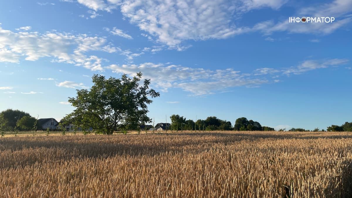 Календар городника на останній тиждень літа