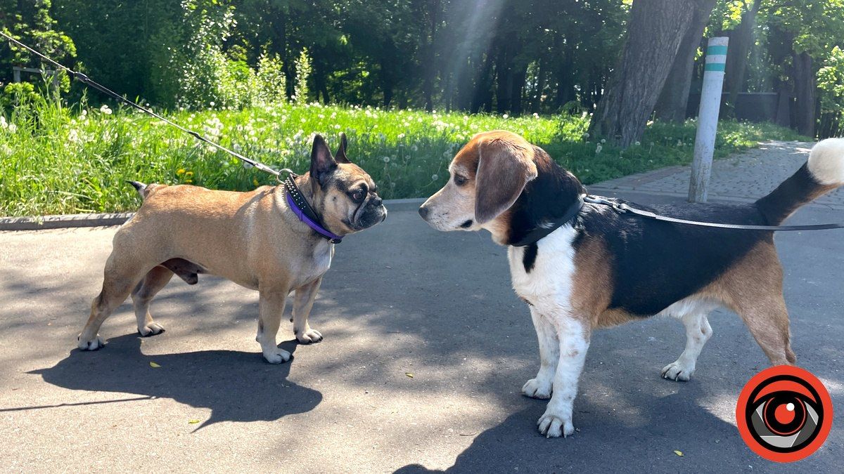 Свята, прикмети та іменини 26 серпня