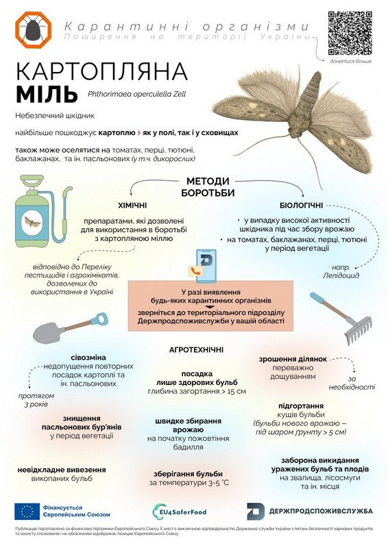 Нищить картоплю та не тільки: прикарпатців попереджають про загрозу нового шкідника 2