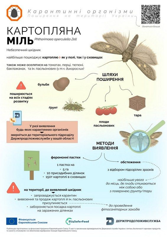 Нищить картоплю та не тільки: прикарпатців попереджають про загрозу нового шкідника 3