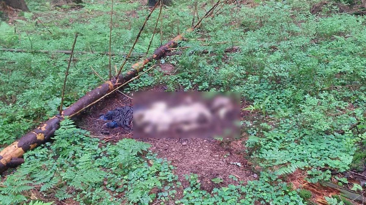 Рештки двох людей знайшли в Карпатах