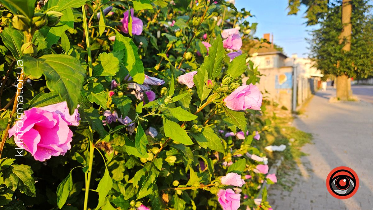 Якою буде погода в Коломиї 28 серпня
