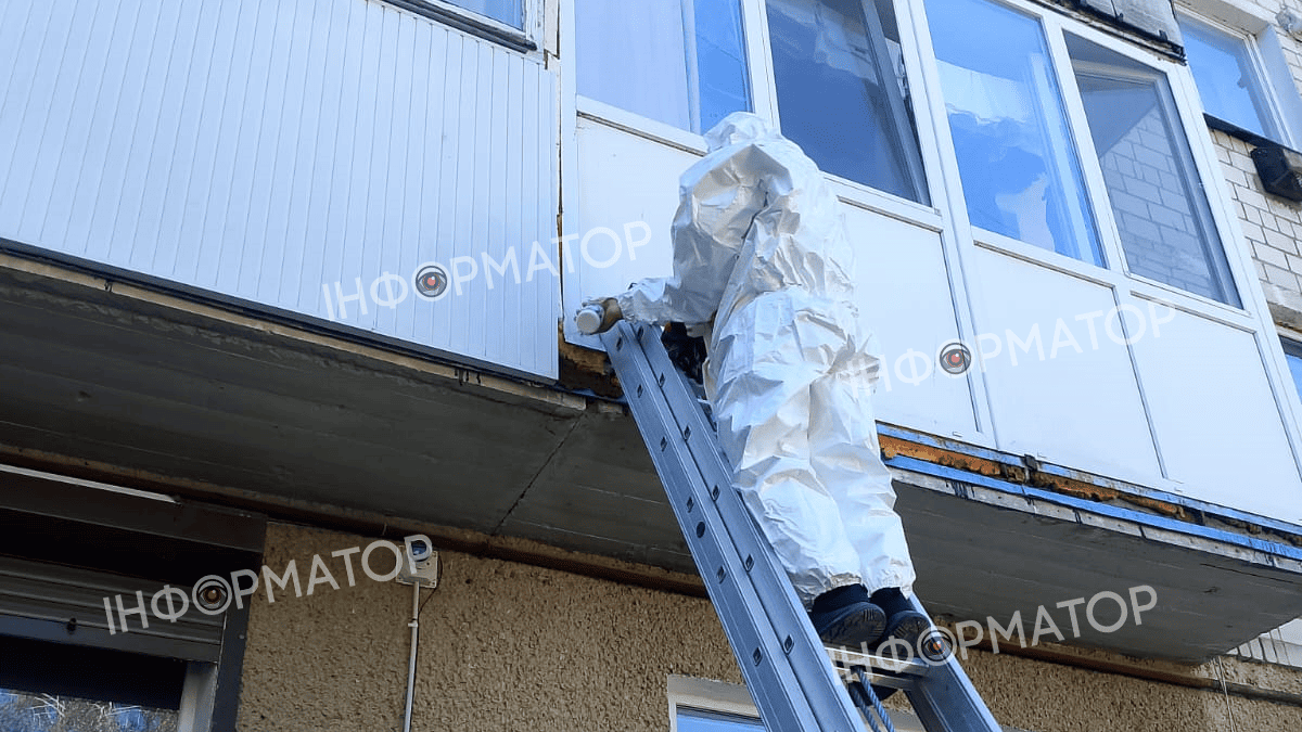 Агресивних комах виганяли у Городенці