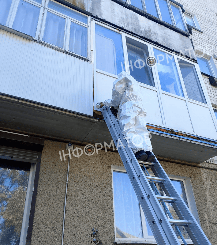 Через агресивних комах у Городенці викликали рятувальників 1