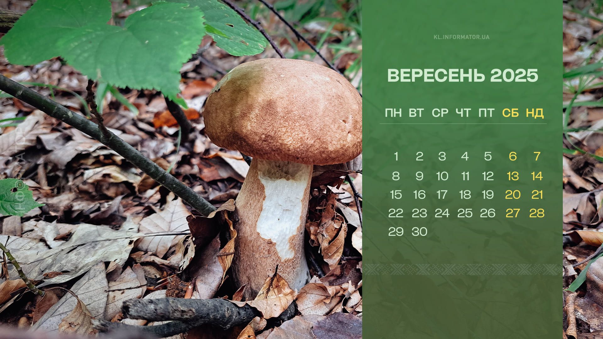 Краса Коломиї у календарях: нова добірка для вашого робочого столу. Вересень 2025