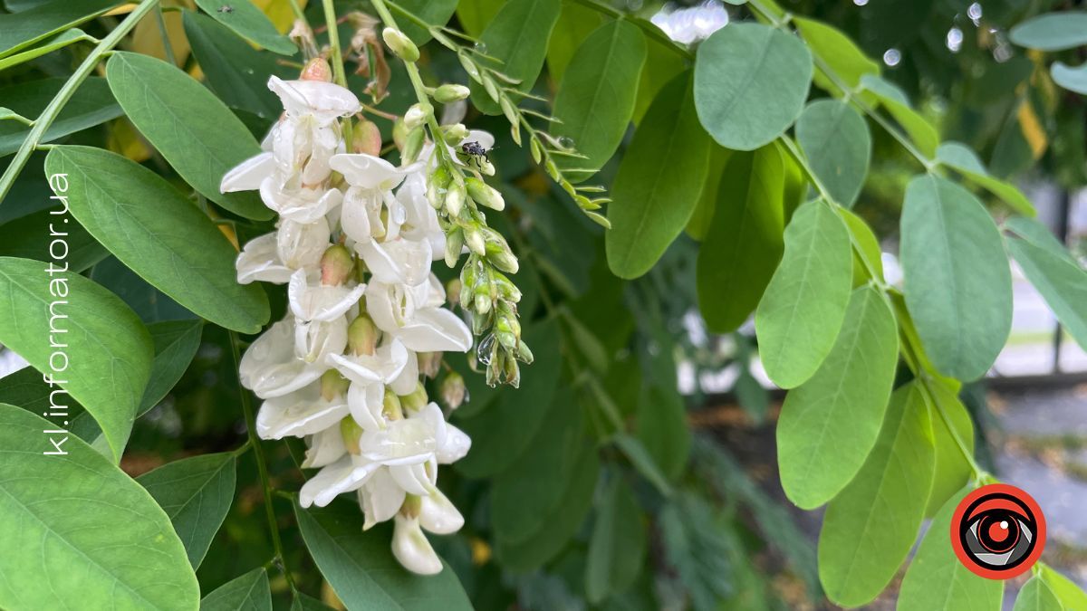 Якою буде погода у Коломиї у вересні