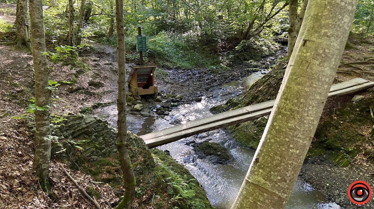 Сірководневе джерело у Волійцях: «жива» вода Карпат 2