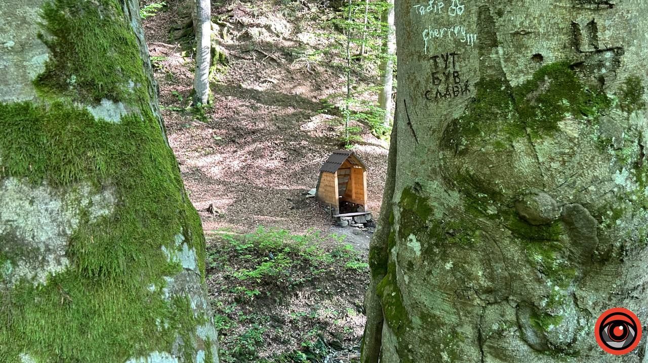 Сірководневе джерело у Волійцях: «жива» вода Карпат 1