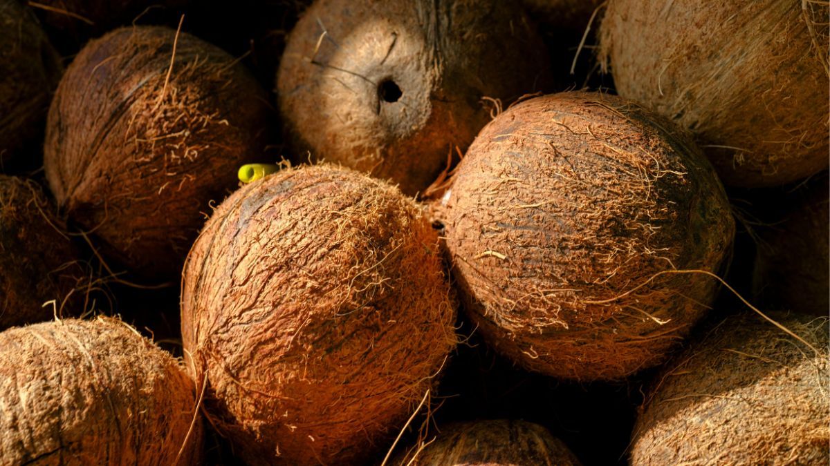 Цей день в календарі: свята, прикмети та іменини 2 вересня