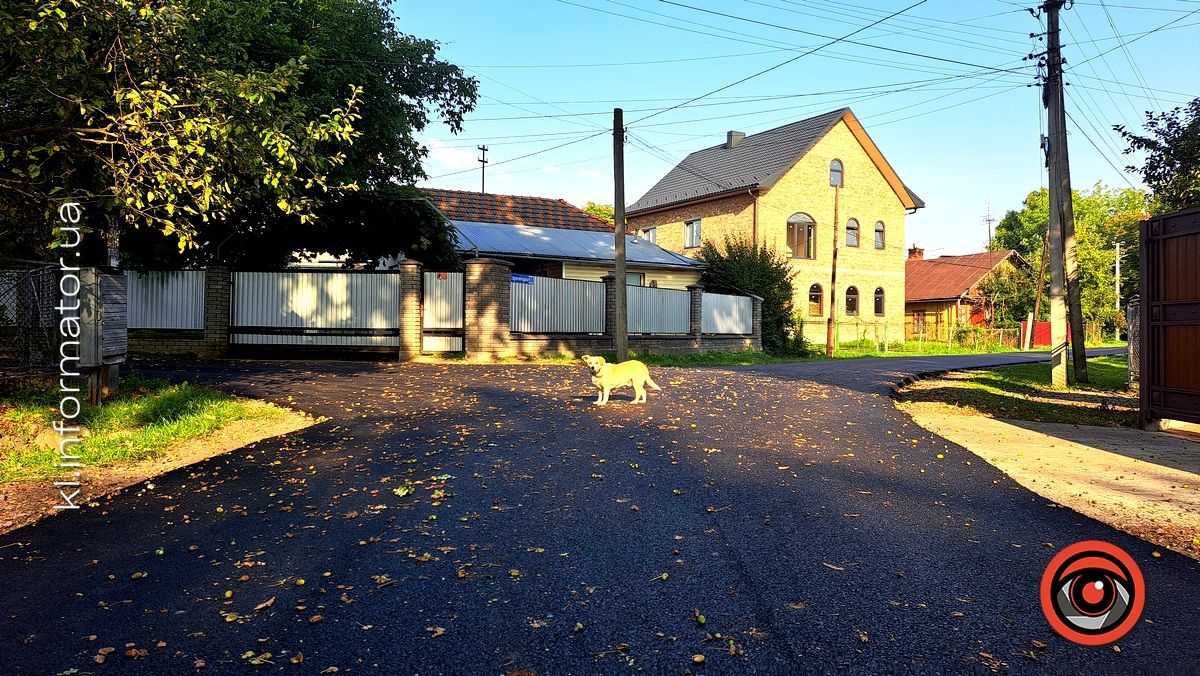 Які вулиці асфальтують комунальники в Коломиї 3
