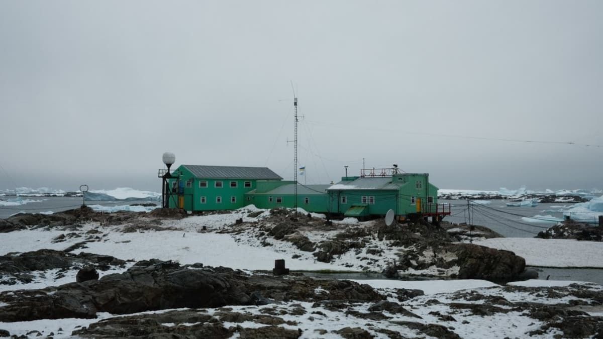 Історія про науку, пінгвінів і танення льодовиків: рецензія на фільм "Антарктида"