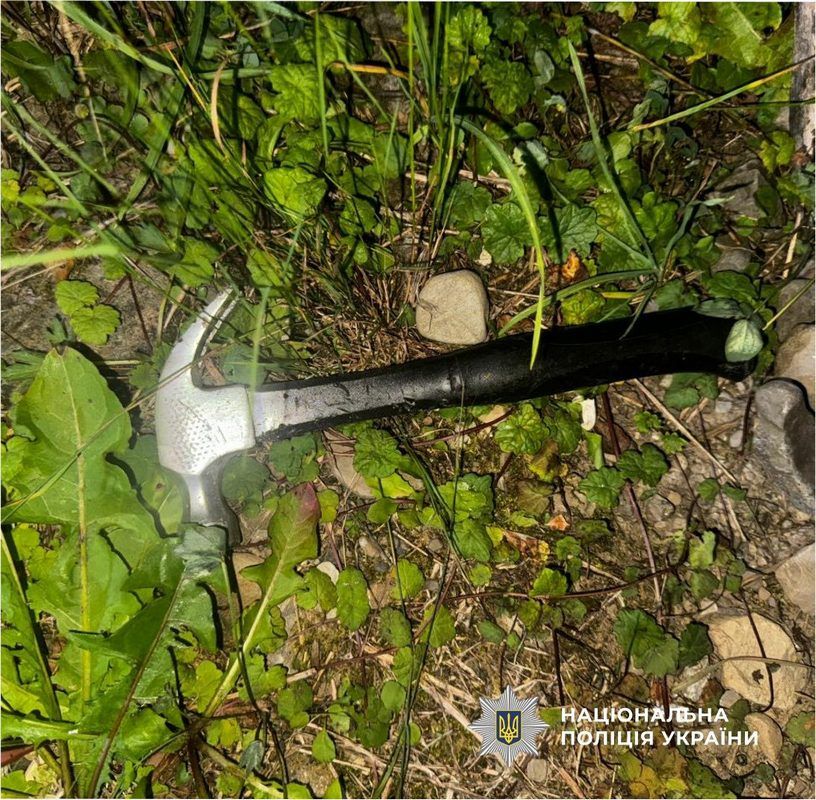 Двоє молодиків розтрощили рейсовий автобус у Ворохті 3