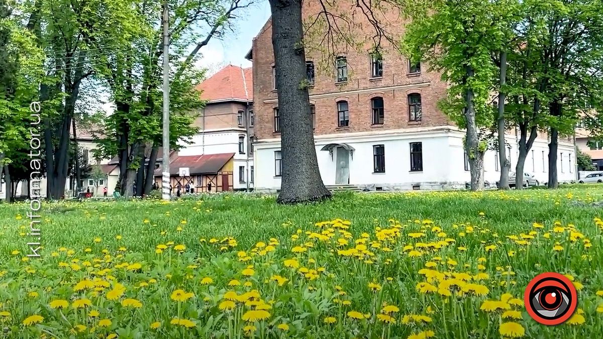 Поліцейські знову застали підлітків за п'янством у подвір'ї гімназії