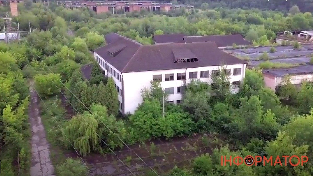 Цегельний, керамічний, деревообробний і льон заводи: як інвестувати у вигідну справу на Прикарпатті