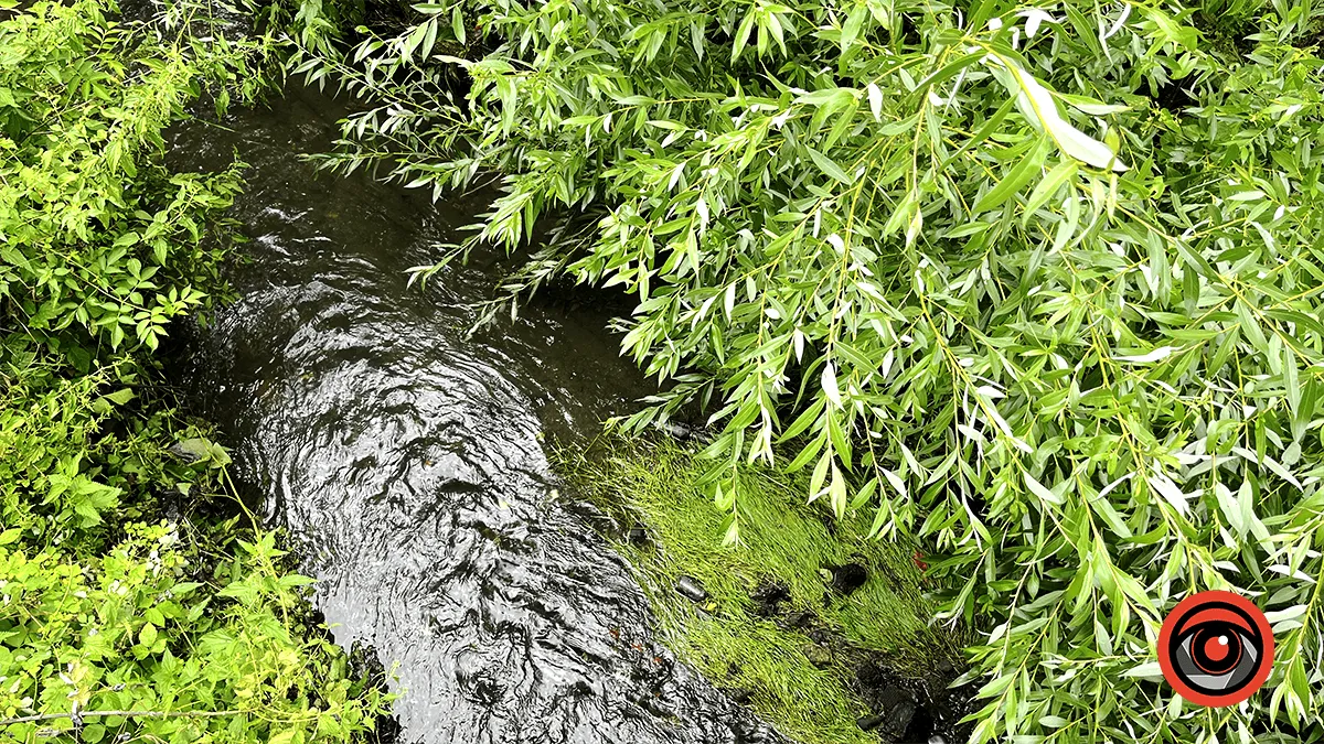 У міському озері ім. Руфа та в Радилівці може підвищитися рівень води: у чому причина?