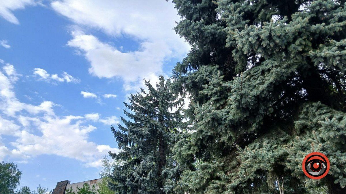 Погода у Коломиї 10 вересня