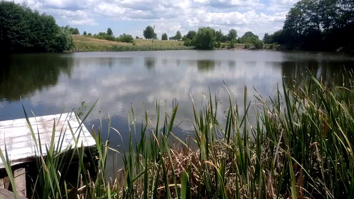 Ставок на Коломийщині віддають в оренду на 7 років