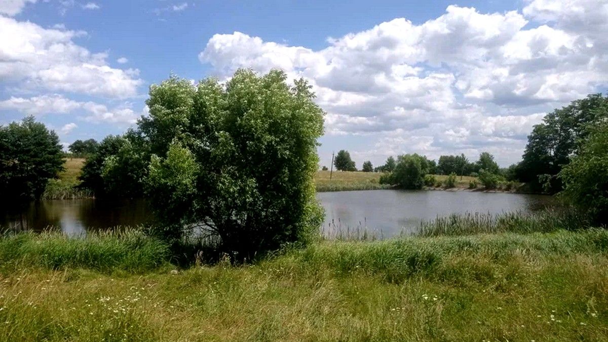 Ставок на Коломийщині віддають в оренду на 7 років 1