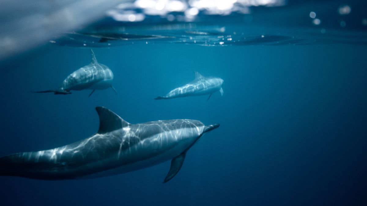 Цей день в календарі: свята, прикмети та іменини 12 вересня