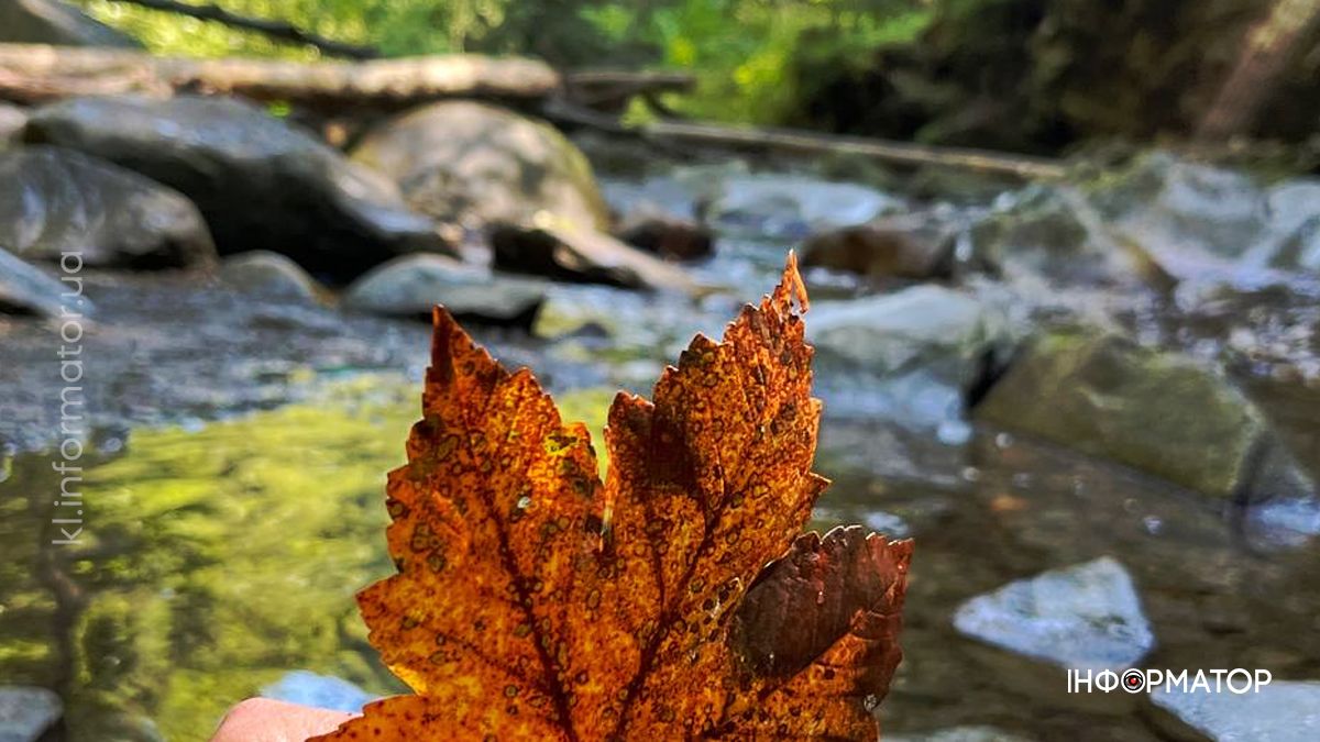 Карпати в останніх променях літа: фоторепортаж з гір 9