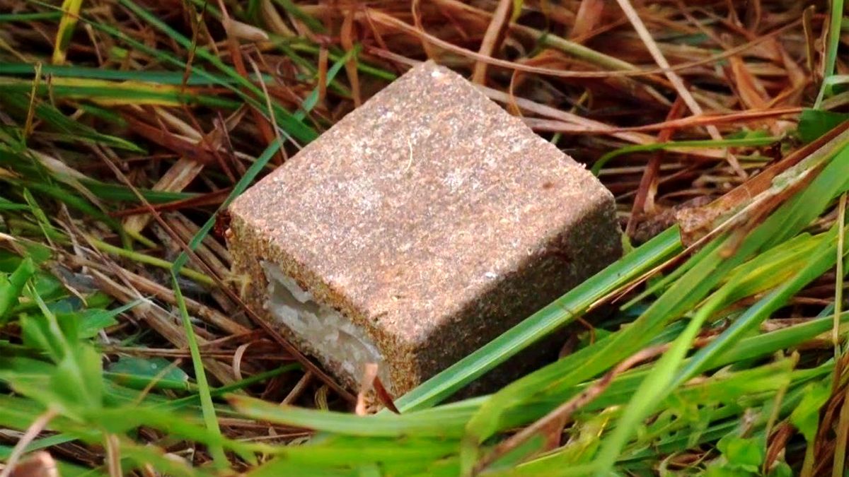 вакцинація