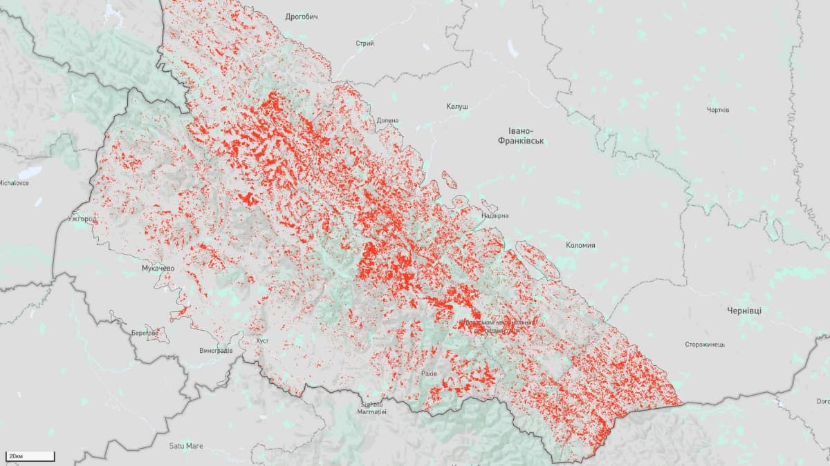 Місця найбільших рубок дерев у Карпатах. Скрін з інтерактивної мапи від NGL.media. 
