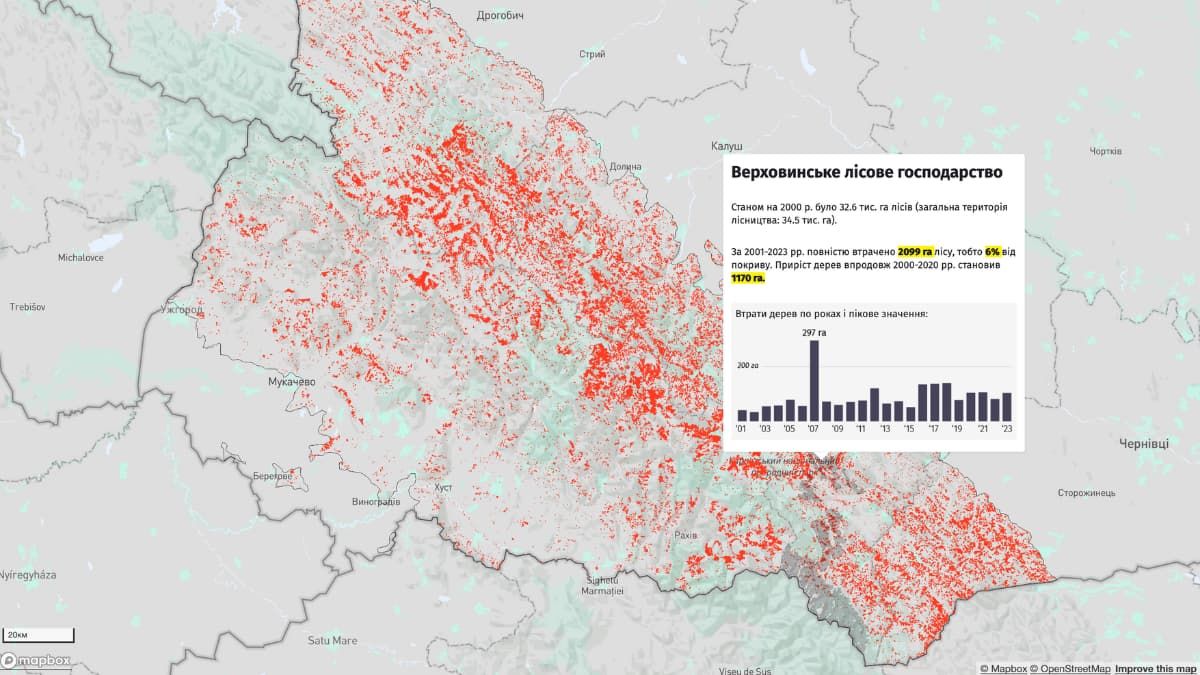 Статистика вирубаних дерев у Верховинському лісовому господарстві. Скрін з інтерактивної мапи від NGL.media. 