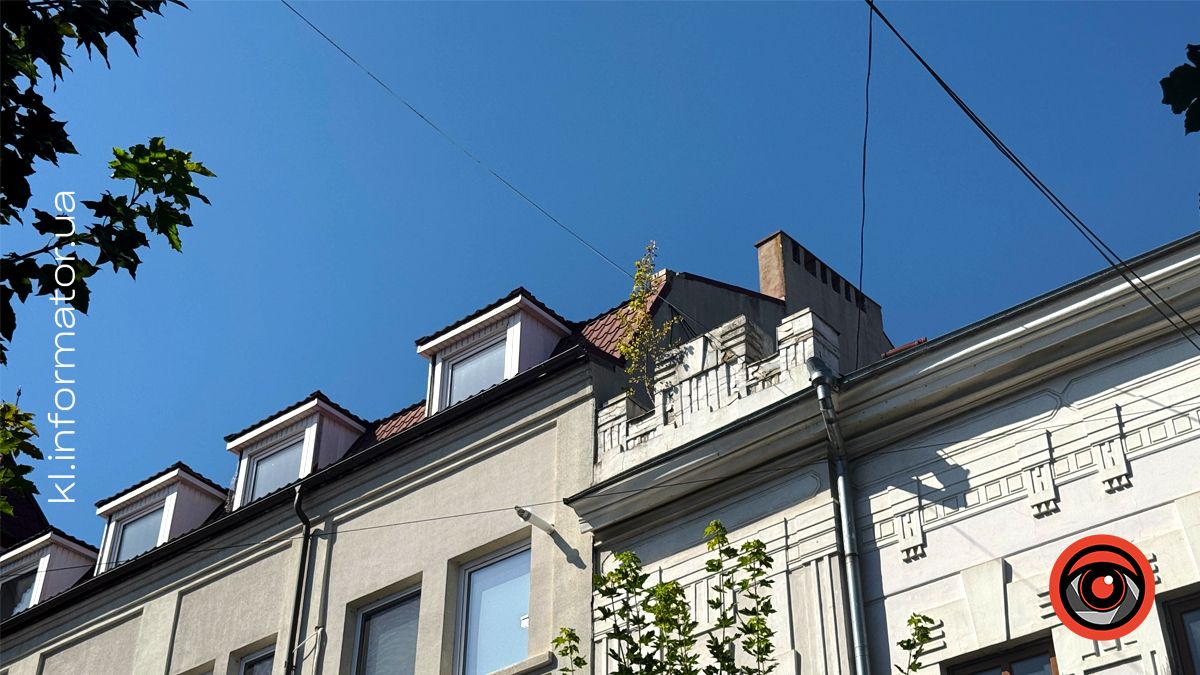 За тиждень у Коломиї з'явилося понад 110 нових пропозицій роботи