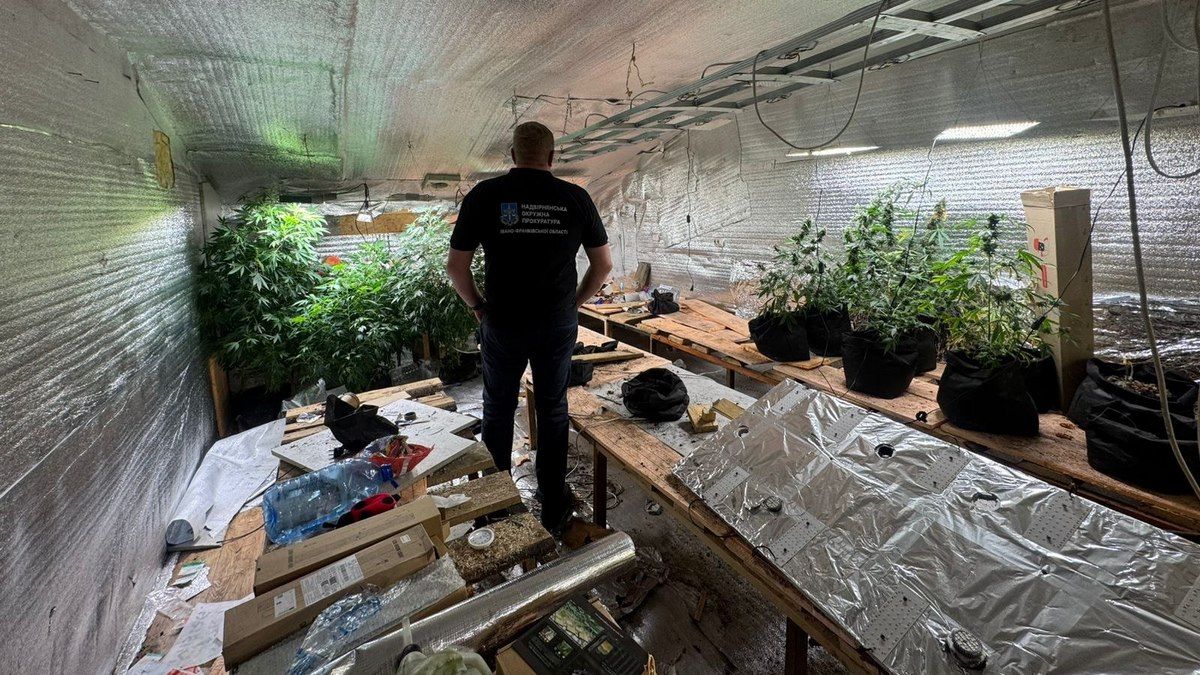 Чоловік з Яблуниці організував наркобізнес у Карпатах