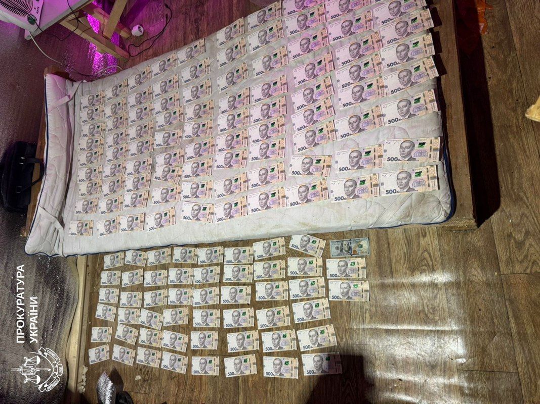 Чоловік з Яблуниці організував наркобізнес у Карпатах 3