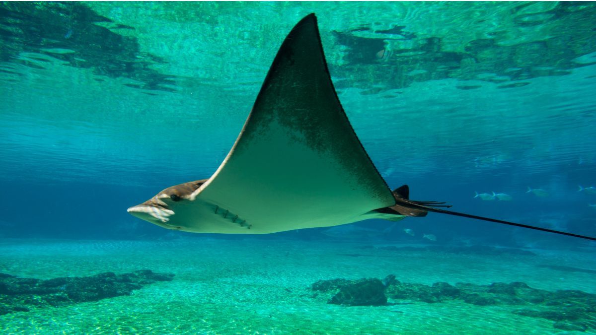 Цей день в календарі: свята, іменини, прикмети 17 вересня