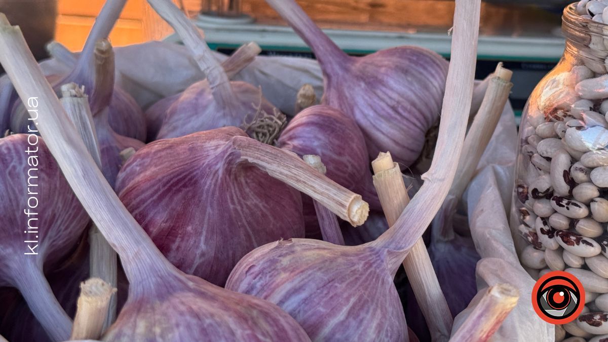 Скільки коштують часник та цибуля на коломийському базарі 2