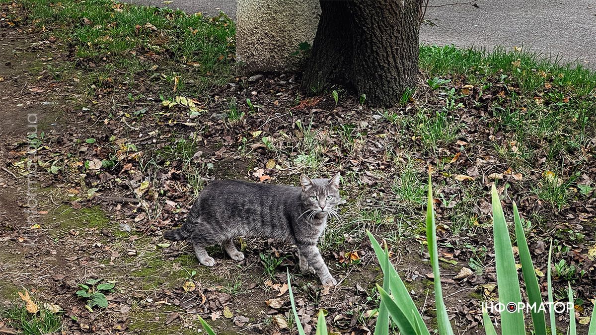 Тиха краса: вересневий парк Коломиї у фоторепортажі 16