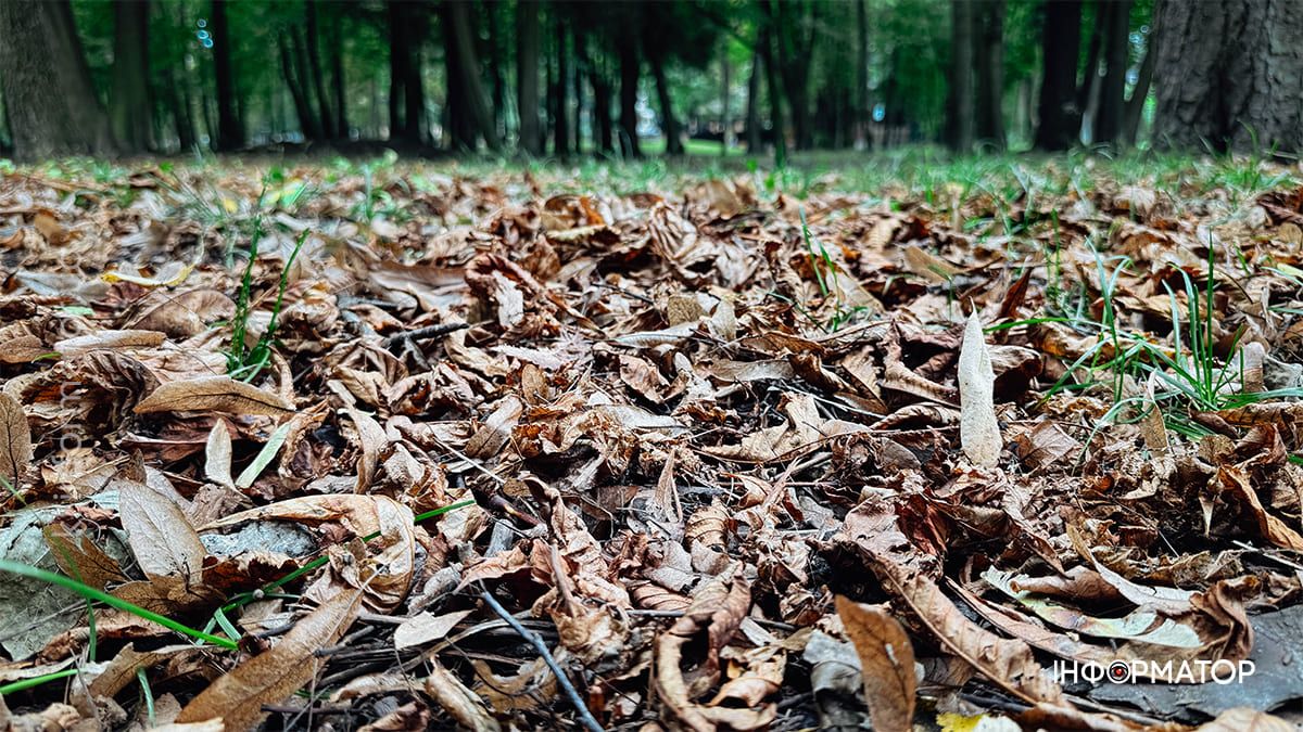 Тиха краса: вересневий парк Коломиї у фоторепортажі 12