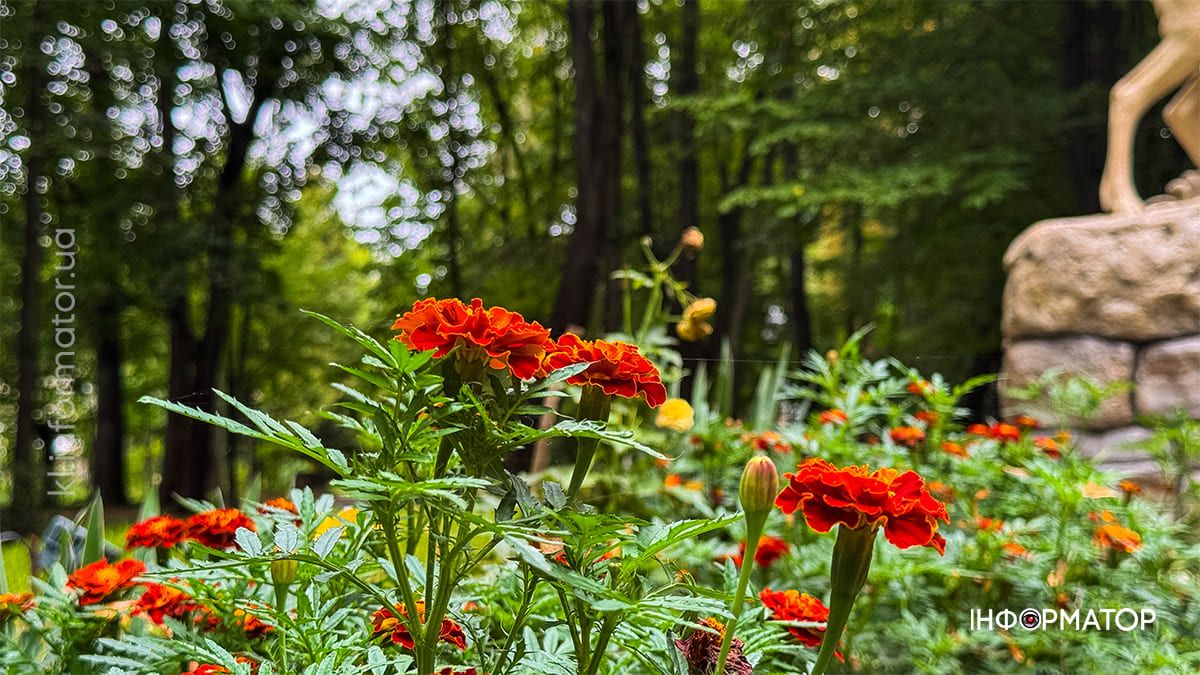 Тиха краса: вересневий парк Коломиї у фоторепортажі 11