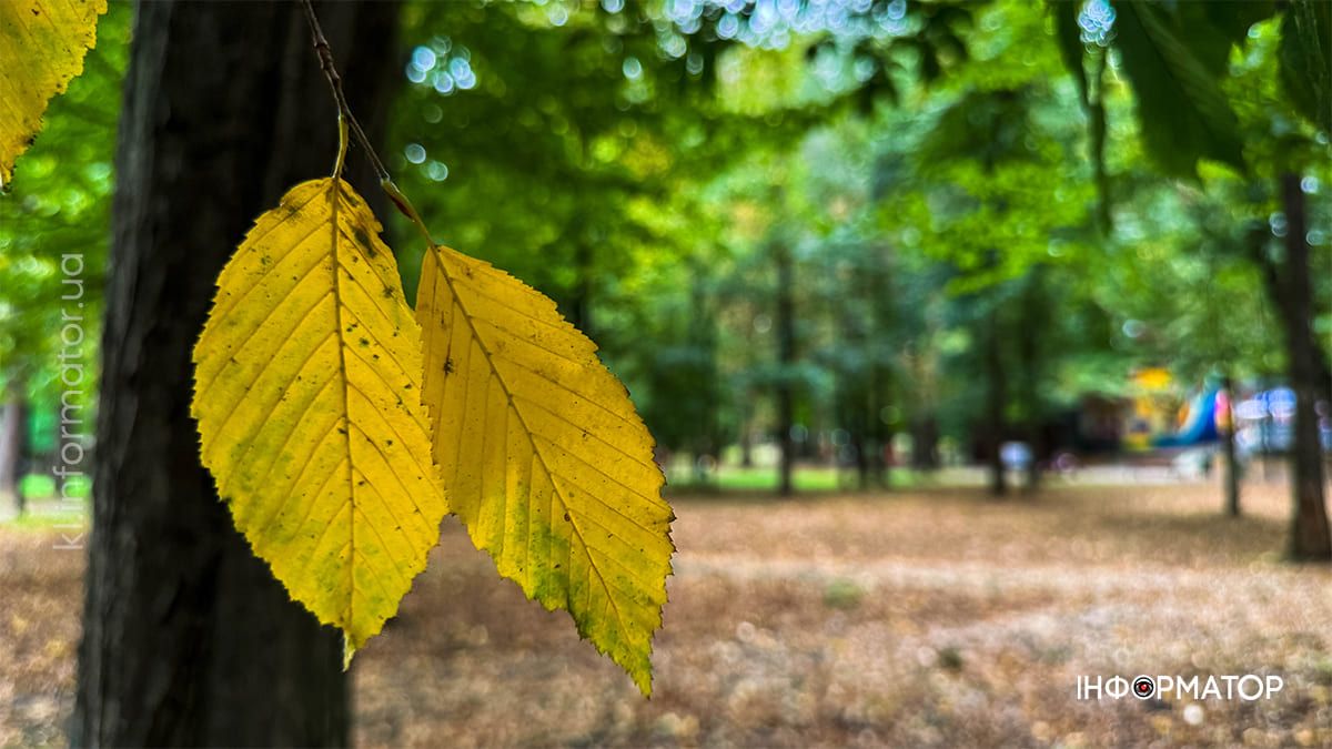 Тиха краса: вересневий парк Коломиї у фоторепортажі 7