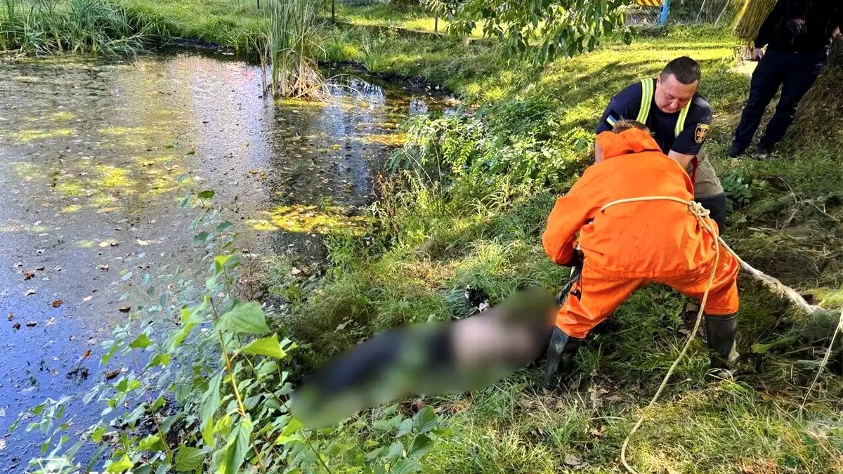На Надвірнянщині виявили тіло потопельника 1