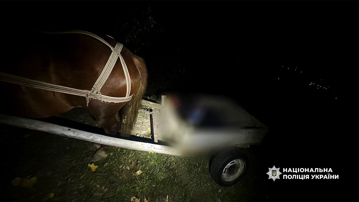 Знайшли мертвим у фірі: поліція розслідує вбивство на Верховинщині 1