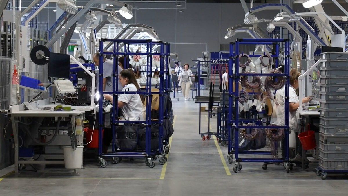 Загадковий інцидент: результати лабораторних досліджень на LEONI в Коломиї