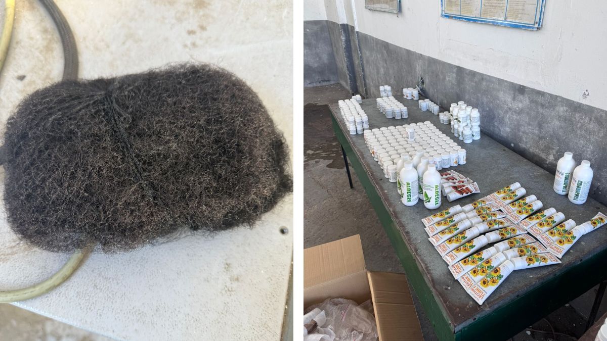 Митники знайшли в прикарпатця продукцію з росії та натуральне волосся з Африки