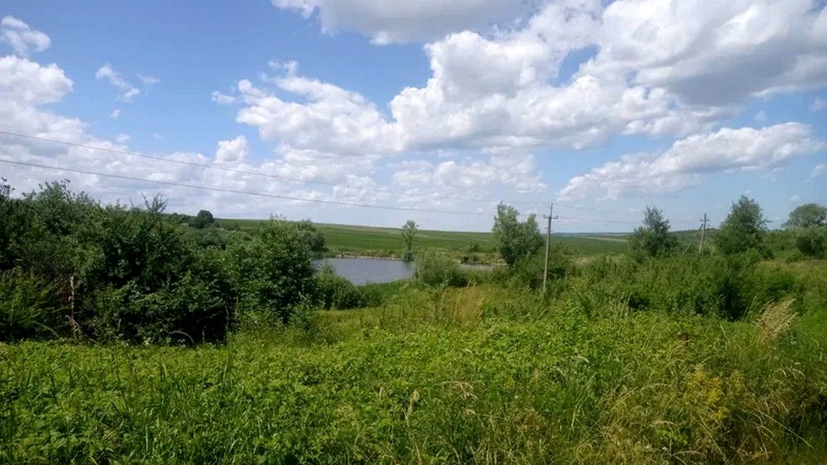 Коломиянин запропонував у 20 разів більше за оренду 7 гектарів земель водного господарства у Підгайчиках 1