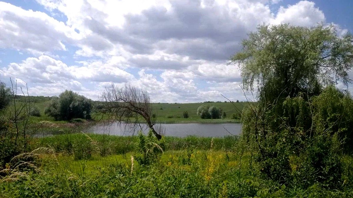 Коломиянин запропонував у 20 разів більше за оренду 7 гектарів земель водного господарства у Підгайчиках