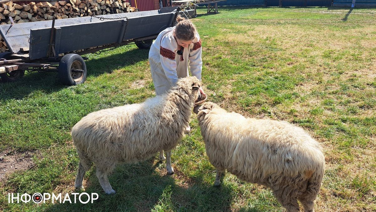 Мистецтво кушнірства: історія майстра Михайла Вінтонюка з Корнича. ВІДЕО 8