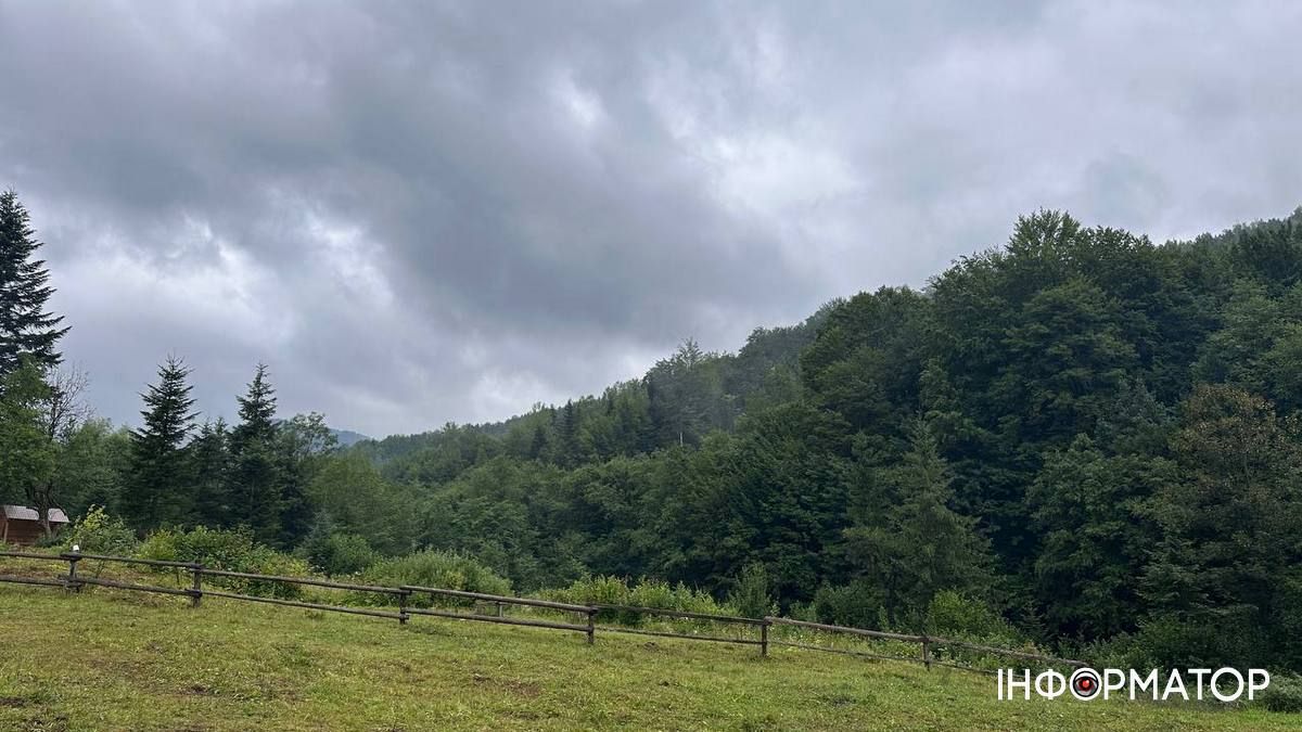 Колишнього сільського голову на Прикарпатті підозрюють у незаконній передачі майже 2 га землі